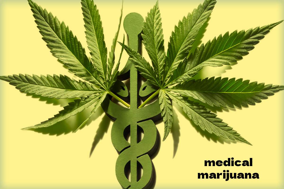  What is Medical Marijuana? – Definition, 8 Properties, and More