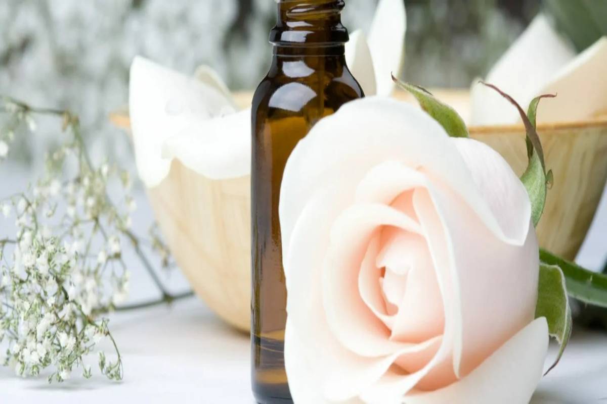 What is Holistic Medicine? – Definition, Principles, Uses, and More