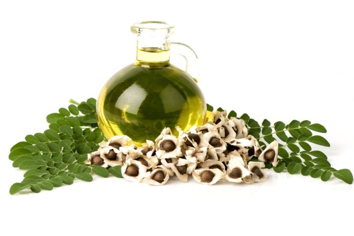  What is Moringa Oil? – Definition, 6 Benefits of Moringa Oil, and More