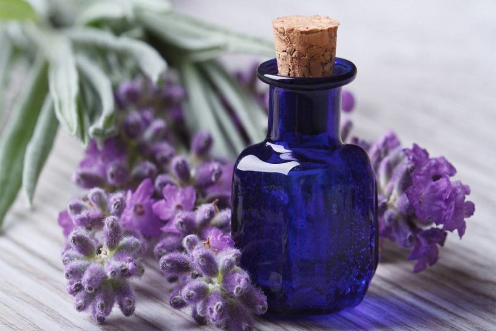 lavender oil