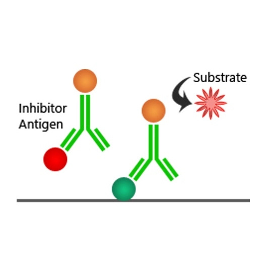 Competitive ELISA Principle