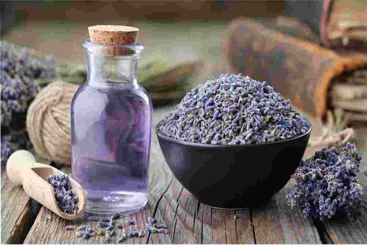 lavender oil
