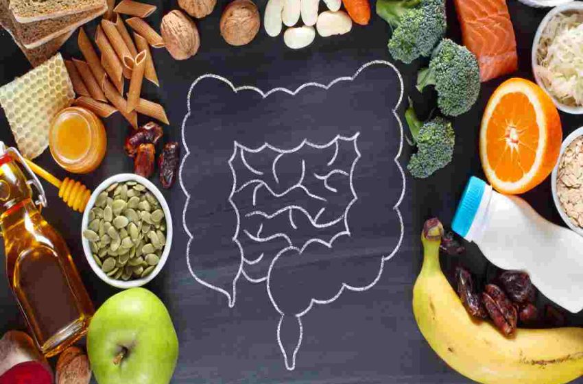Relationship Between Gut Health and Weight